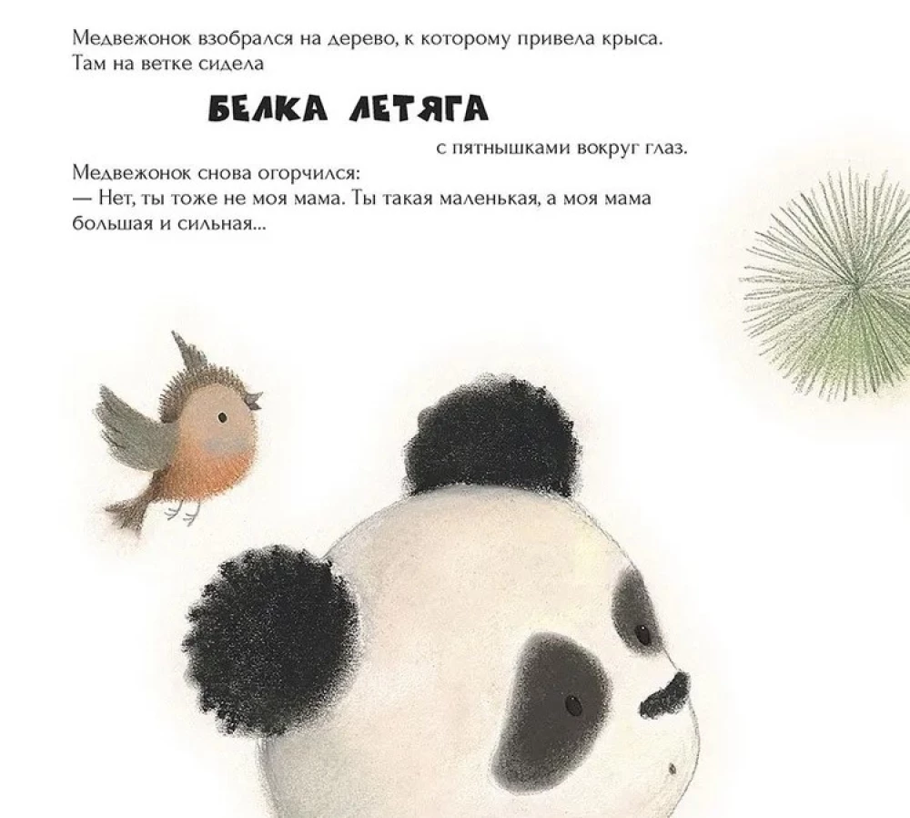 The Lost Baby Panda