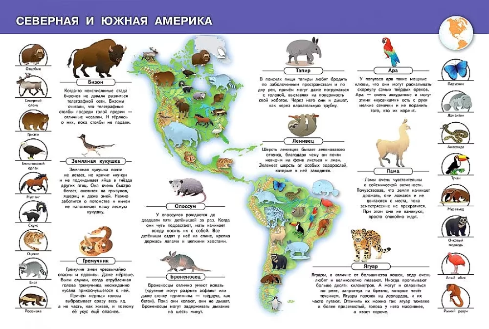 Animals of Our Planet. My First Encyclopedia with Stickers