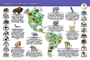 Animals of Our Planet. My First Encyclopedia with Stickers