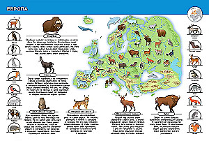 Animals of Our Planet. My First Encyclopedia with Stickers