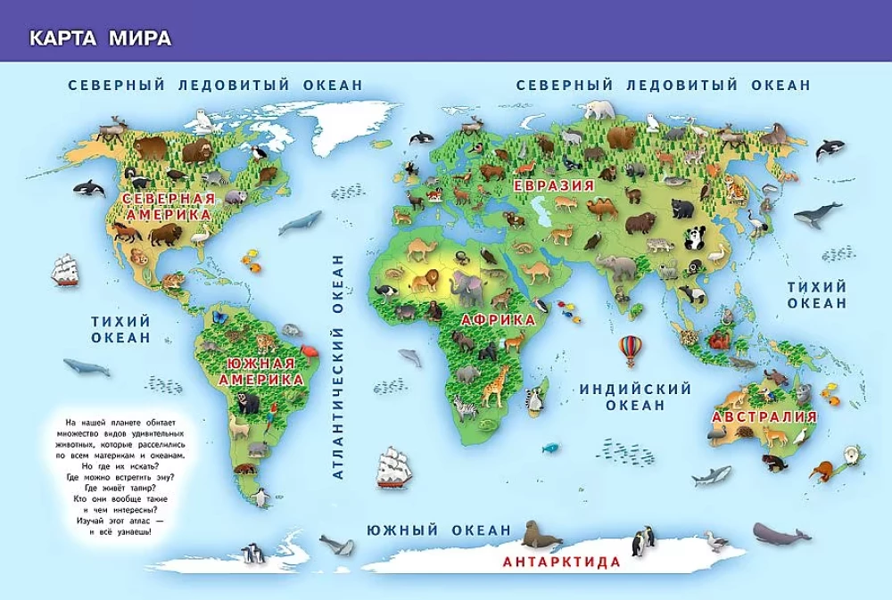 Animals of Our Planet. My First Encyclopedia with Stickers