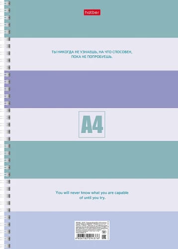 Notebook - Stripes, A4, 80 sheets, grid, assorted