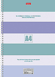 Notebook - Stripes, A4, 80 sheets, grid, assorted