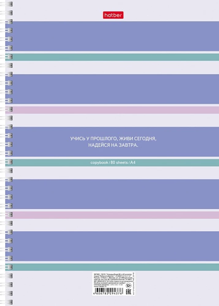 Notebook - Stripes, A4, 80 sheets, grid, assorted