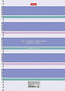 Notebook - Stripes, A4, 80 sheets, grid, assorted