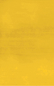 Mark Rothko. The Miracle of Painting. Biography of a Great Artist