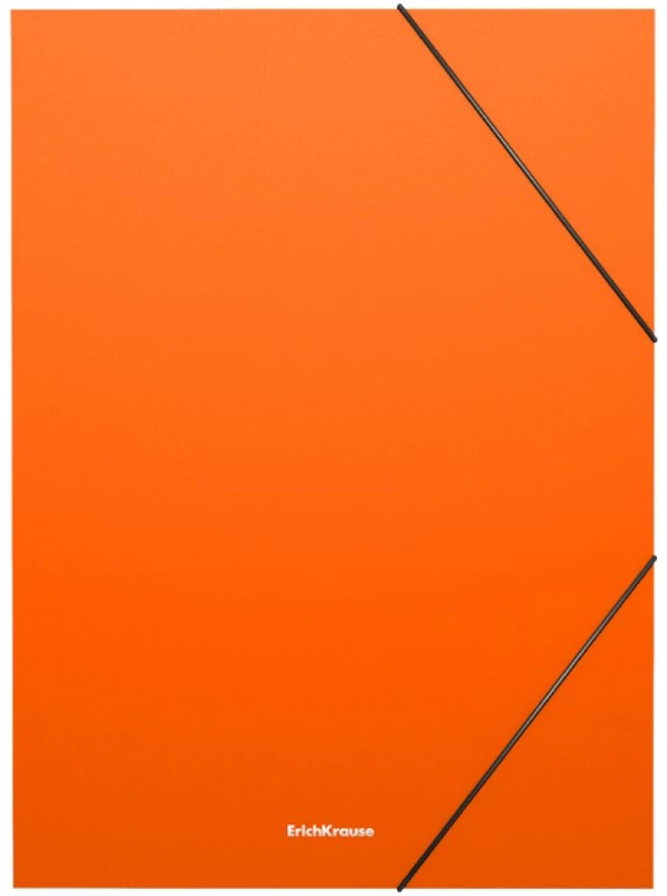 Folder na gumkach Matt Neon (asortyment)