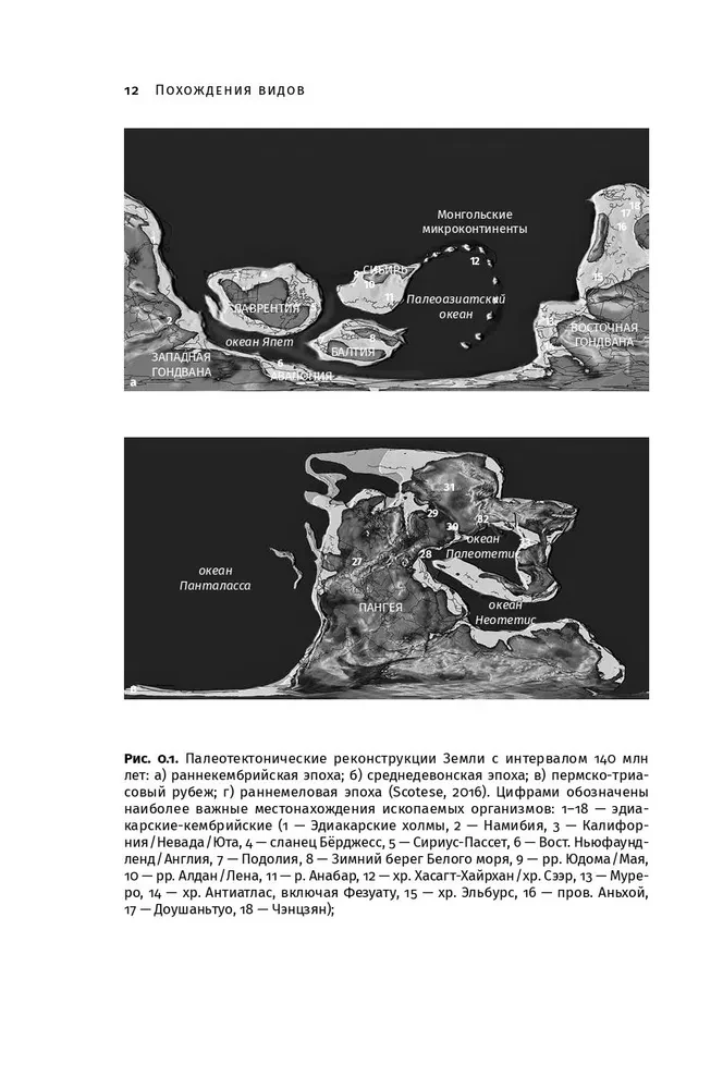 Adventures of Species. Vampironogs, Spider-tailed Ones and Other Transitional Forms in Animal Evolution