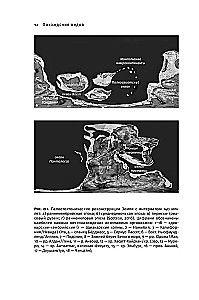 Adventures of Species. Vampironogs, Spider-tailed Ones and Other Transitional Forms in Animal Evolution