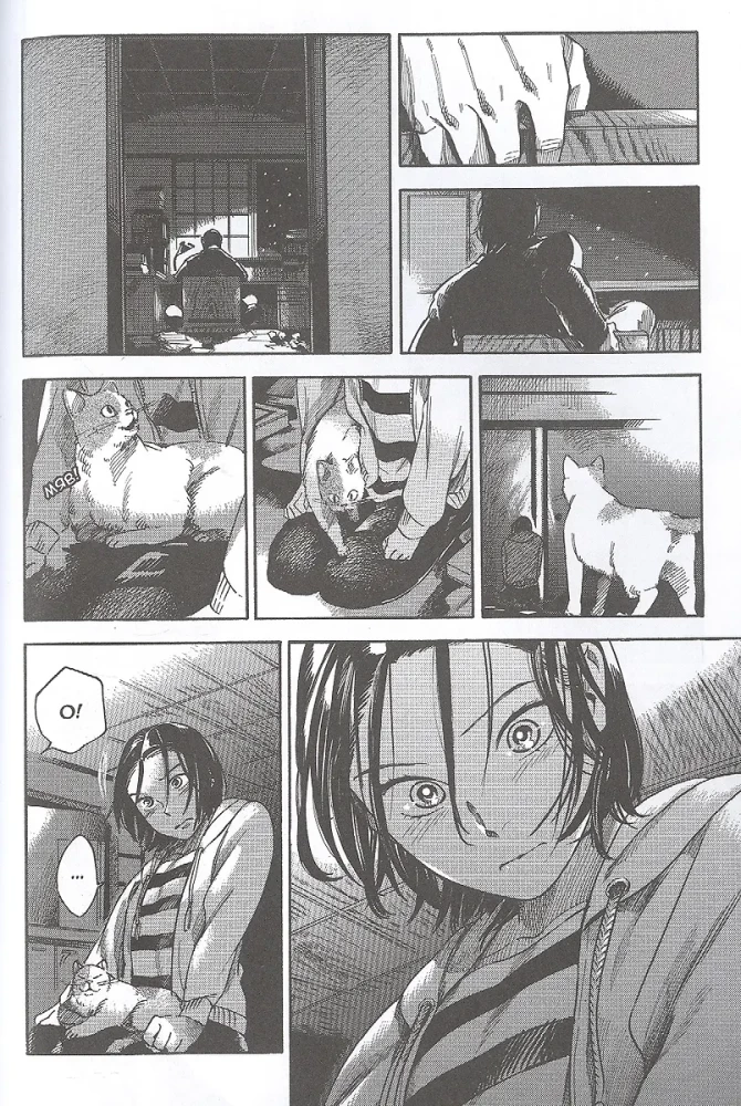 Scarlet Fruit Explosion. Volume 1
