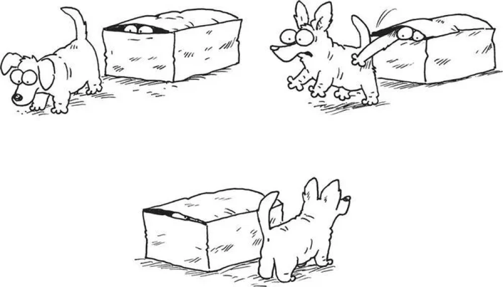 Simon's Cat. Dog's Answer