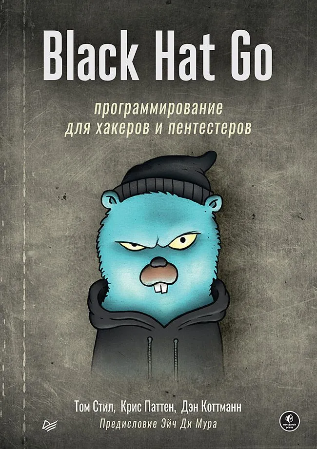 Black Hat Go. Programmēšana hakeriem un pentesteriem