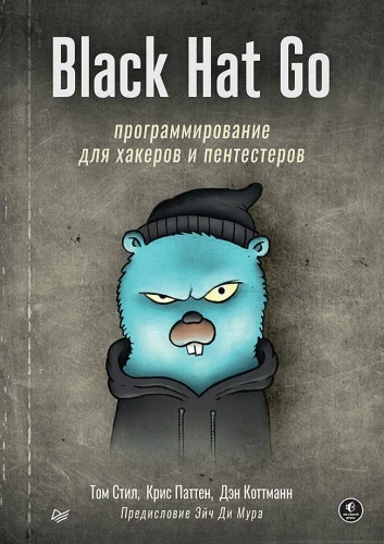 Black Hat Go. Programming for Hackers and Pentesters