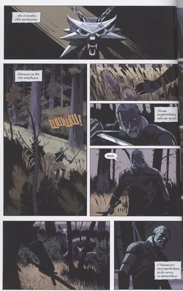 The Witcher: Fading Memories