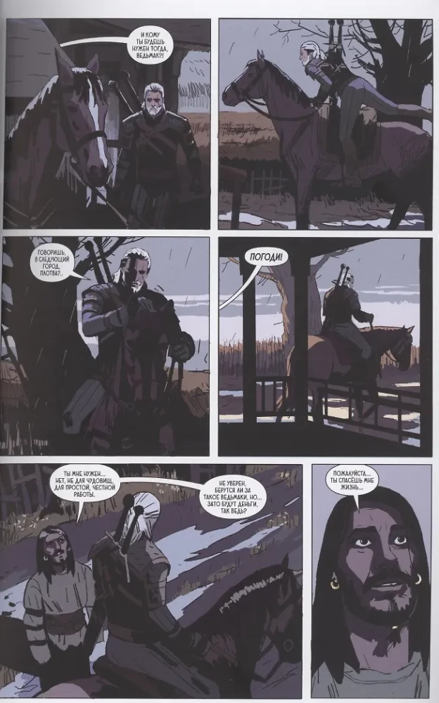 The Witcher: Fading Memories