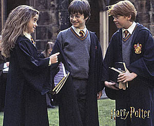 Harry Potter. Multi-Year Desk Calendar in a Case