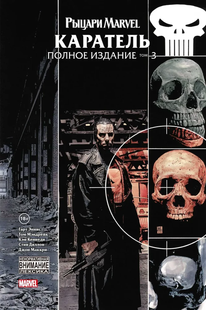 Marvel Knights: The Punisher Volume 3