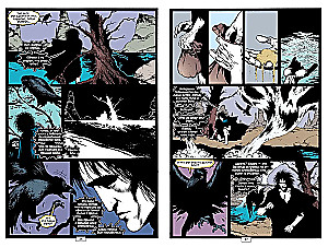 The Sandman. The Sandman. Book 5. A Game in You