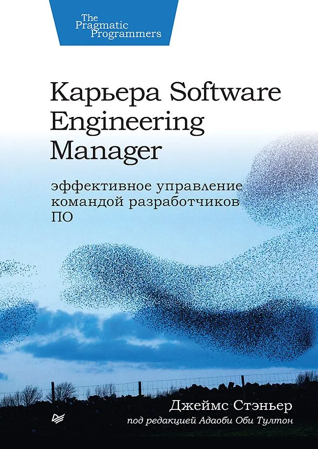 Karriere als Software Engineering Manager. Effektive Teamleitung von Softwareentwicklern