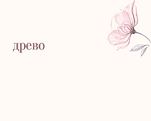 Wedding Wish Book