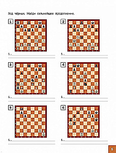 Chess School. Second Year of Training. Collection of Tasks