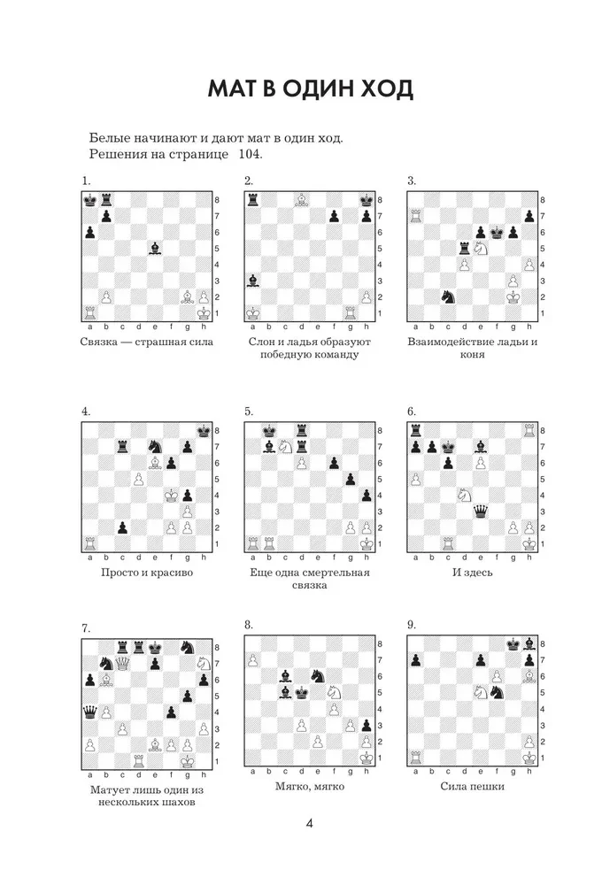 1001 Chess Problem. An Interactive Book that Teaches You to Win