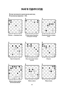 1001 Chess Problem. An Interactive Book that Teaches You to Win