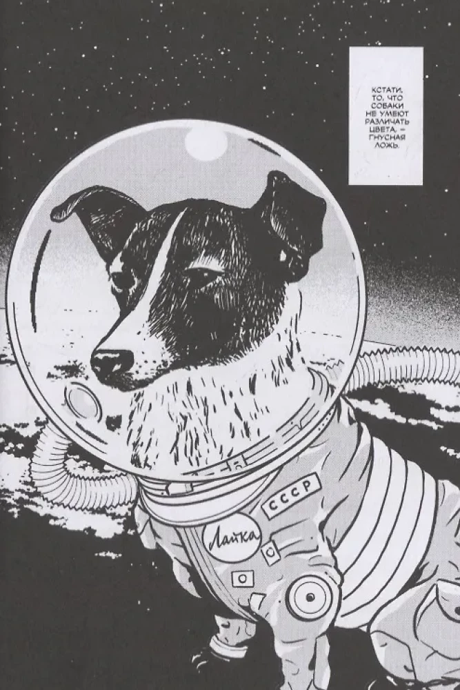 Isle of Dogs