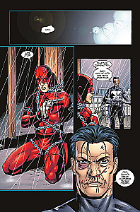 Marvel Knights. The Punisher. Volume 1