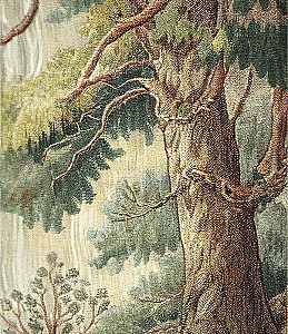 Family Tree. Family Chronicle