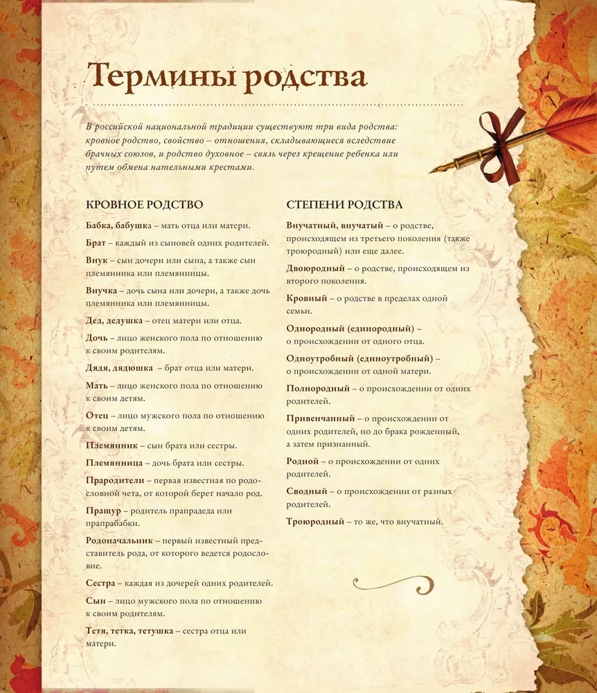 Genealogy Book. Family Tree