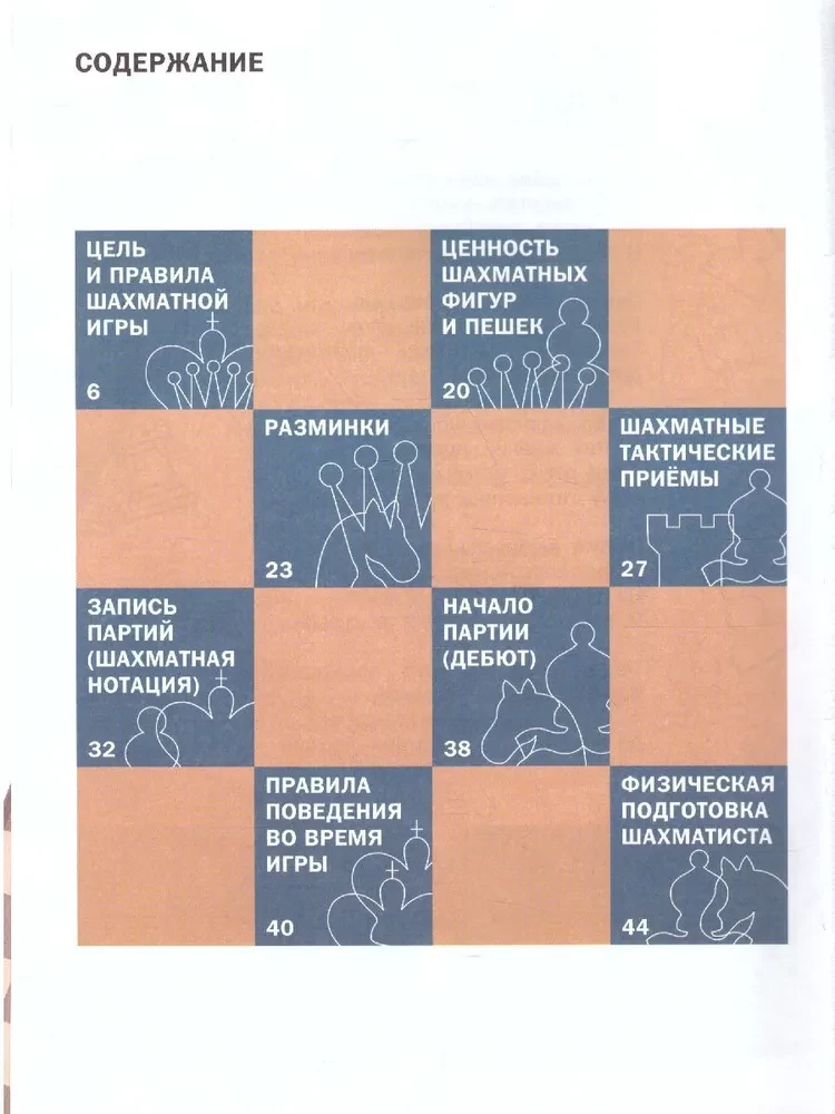 Interesting Chess. A Beginner's Player's Book