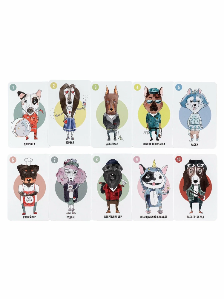 Board Game - Dog Confused