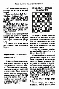 Шахматы. Теория и практика миттельшпиля