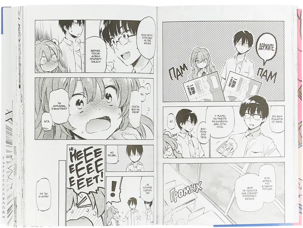 Toradora! Tygrys i Smok. Tom 4