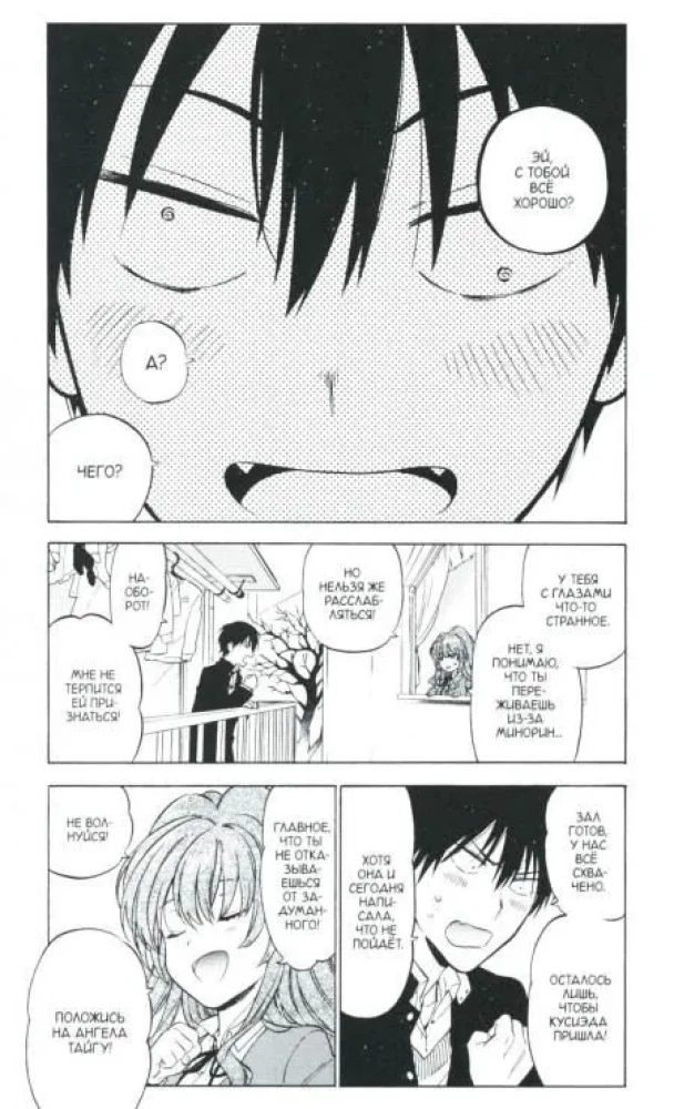 ToraDora. Tygr i Smok. Tom 9
