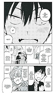 ToraDora. Tygr i Smok. Tom 9