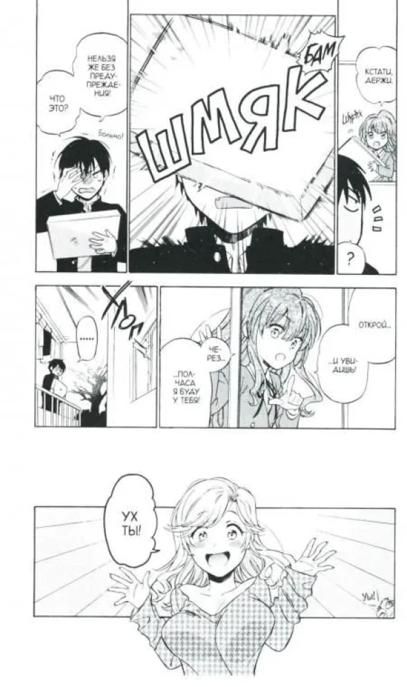 ToraDora. Tygr i Smok. Tom 9
