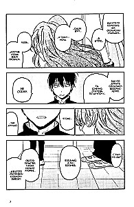 ToraDora. Tygrys i Smok. Tom 11