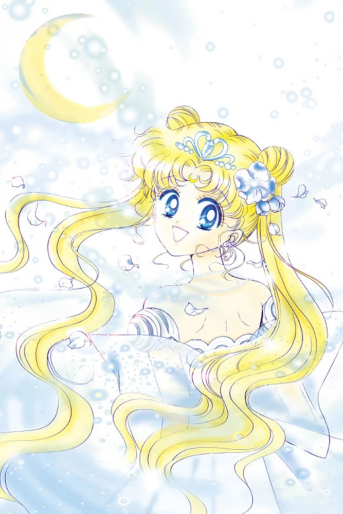 Die wunderbare Kriegerin Sailor Moon. Sailor Moon. Band 1