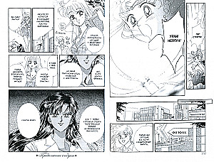Sailor Moon. Tom 6