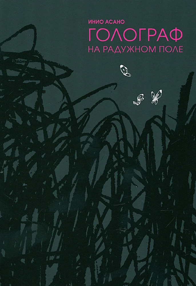 Hologram na Polu Tęczy
