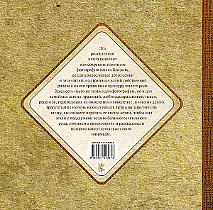 Родовая книга моей семьи