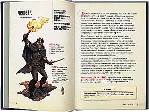 Dungeons & Dragons. Bohaterowie i ich ekwipunek