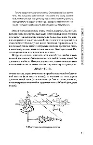 Занимательная геометрия