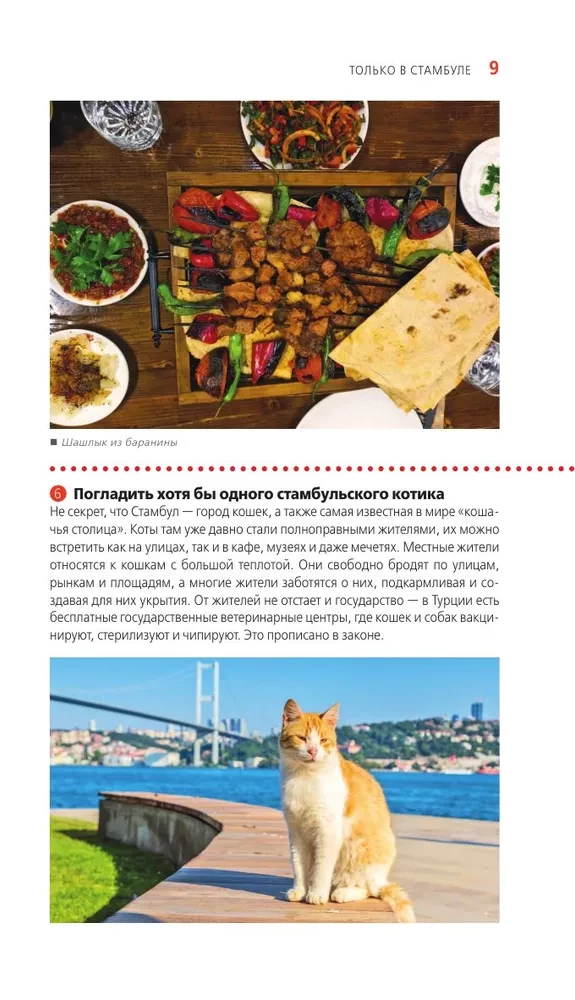 Istanbul. Historical center, Asian side of the Bosphorus and the Princes' Islands. A guide