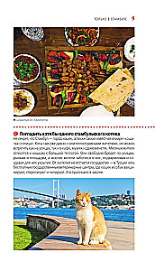 Istanbul. Historical center, Asian side of the Bosphorus and the Princes' Islands. A guide