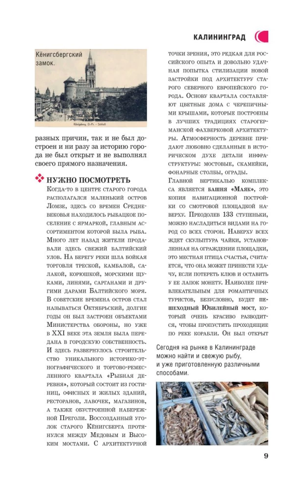 Obwód kaliningradzki. Przewodnik dla pieszych