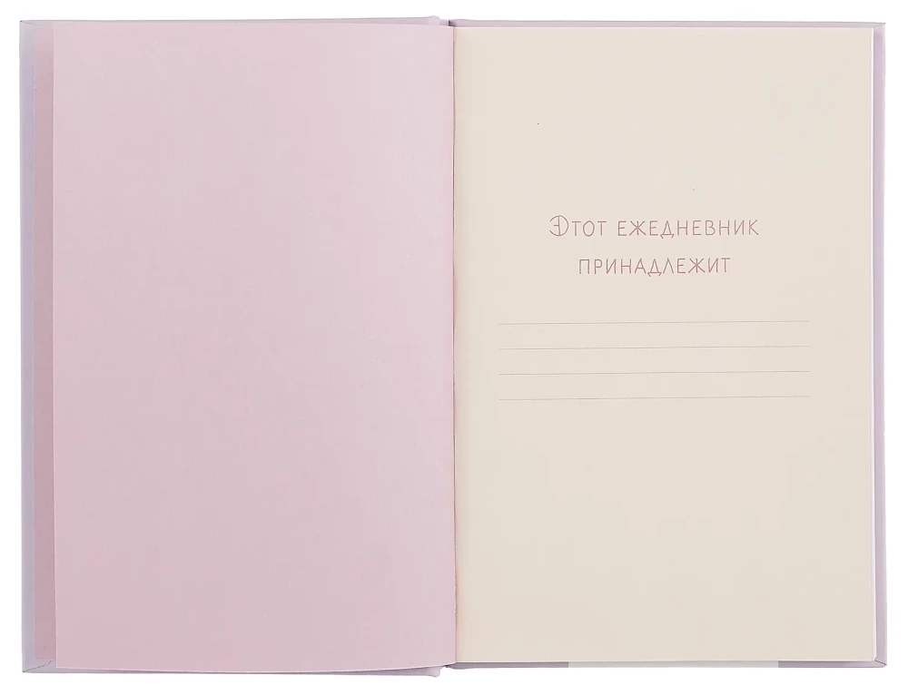 Undated planner - Kuromi with candy