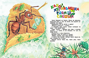 How the Ant is in a Hurry to Get Home